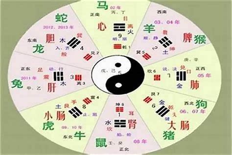 然 五行|然字的五行是什么,然的五行属性及吉利寓意